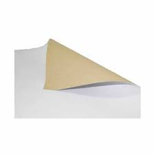 CARTAO CARTAZ FOSCO 48X66 200G/M2 BRANCO