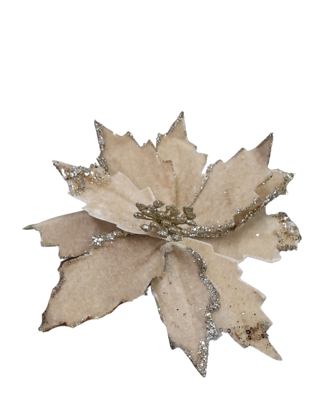 FLOR BICO VELUDO BORDA OURO 33X25CM AQY2502 CHAMPAGNE